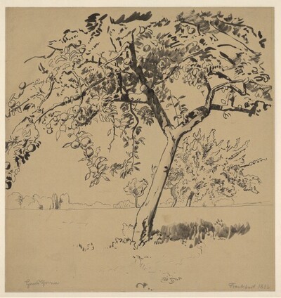 Apfelbaum auf einer Wiese von Hans Thoma