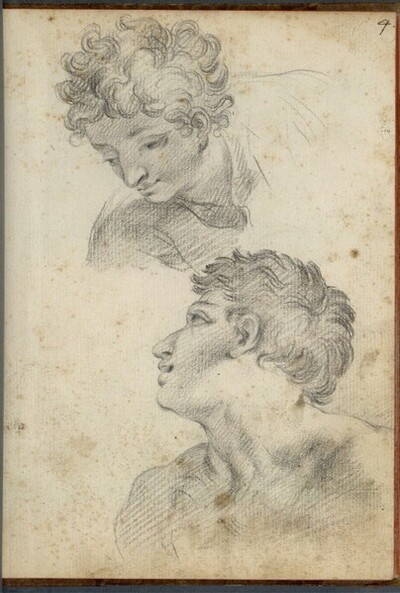 Zwei Kopfstudien eines Jünglings von Bartolomeo Altomonte
