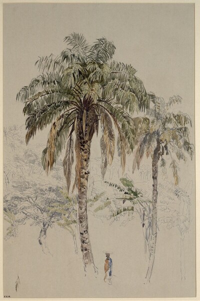 Palmen von Josef Selleny