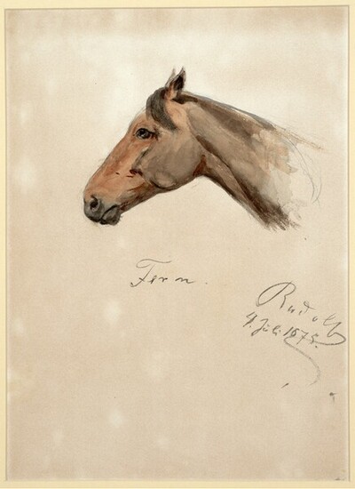 Pferdekopf von Rudolf Habsburg-Lothringen
