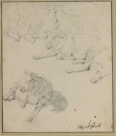 Liegende Schafe und Böcklein von Johann Heinrich Roos