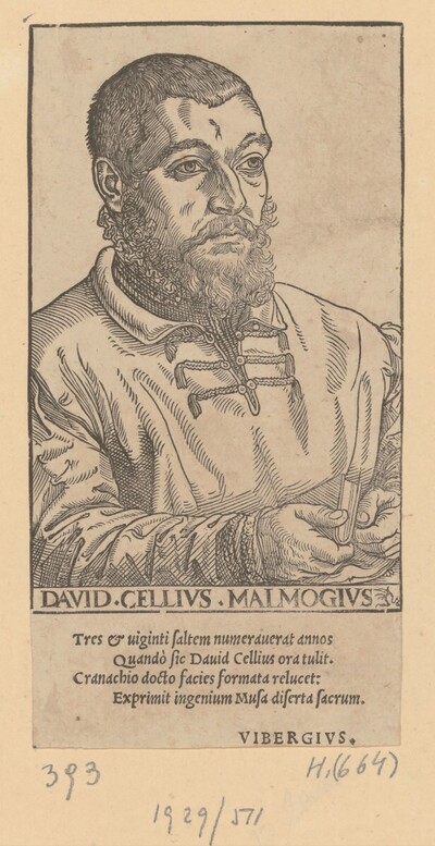 Bildnis von David Cellius Malmogius von Lucas Cranach d. J.