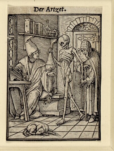 Der Arzt von Hans Holbein d. J.
