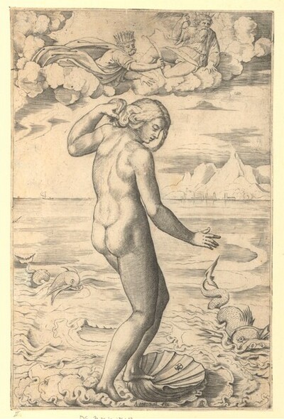 Geburt der Venus von Marco Dente