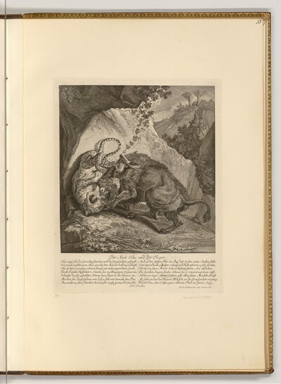 Der Auerochs und der Tiger von Johann Elias Ridinger