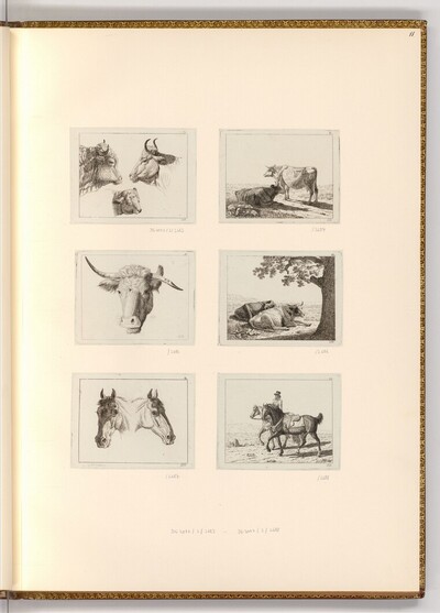 Tierköpfe und Tiere von Johann Jakob Biedermann