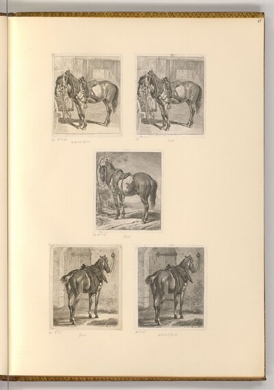 Pferde mit Geschirr von Johann Adam Klein