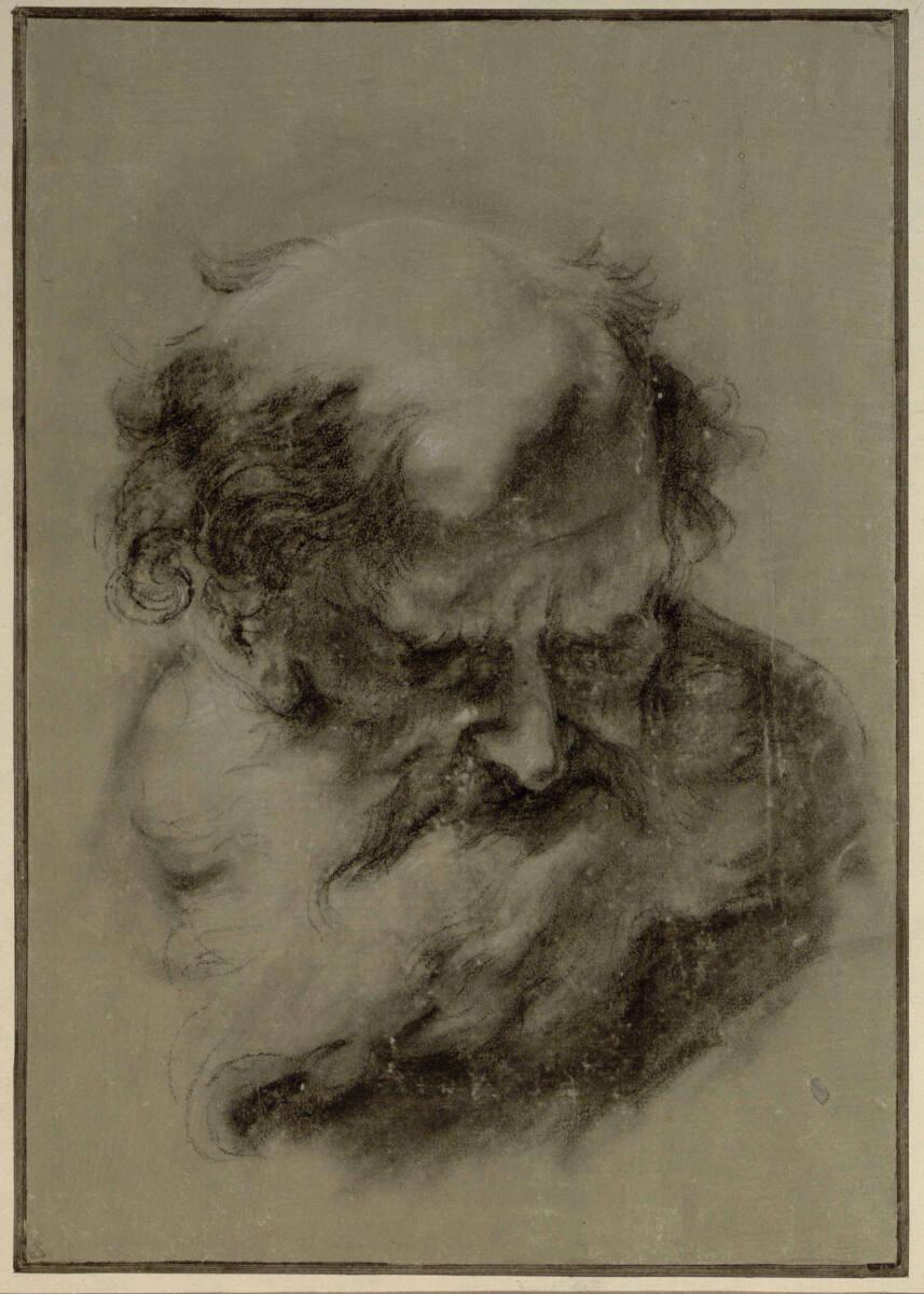 Franz Karl Palko, Fünf Apostelköpfe: 2. Bärtiger Apostel nach rechts herabblickend, Inv. Nr.: 4…