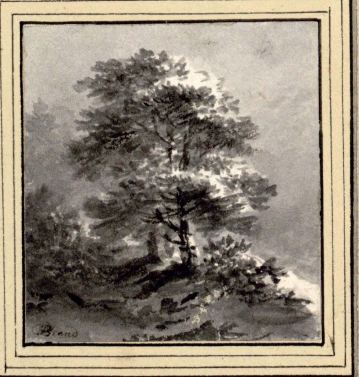 Johann Christian Brand, Baumgruppe auf kleinem Hügel, Inv. Nr.: 4456