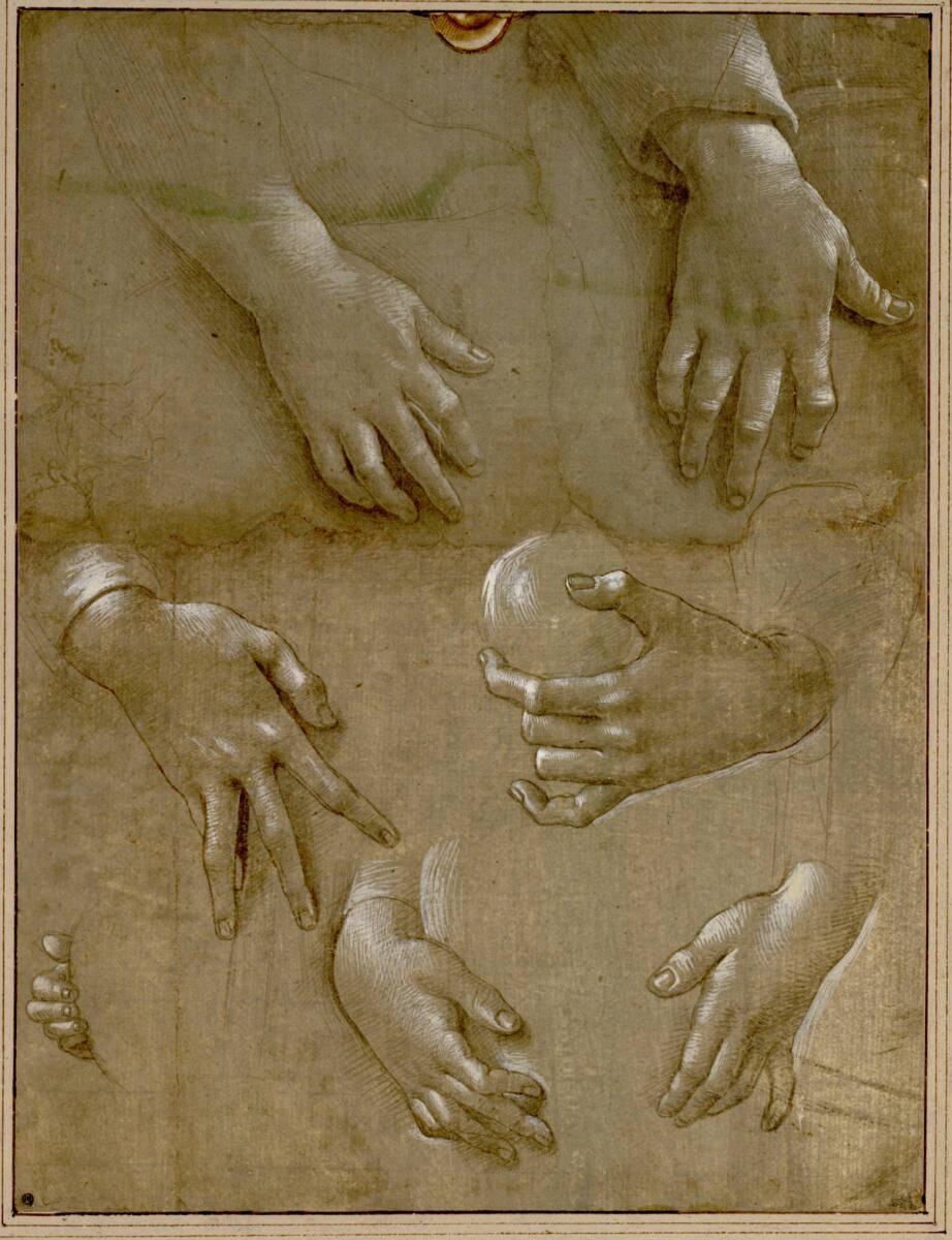 Raffaellino del Garbo, Sieben Handstudien und Skizze eines Kopfes, Inv. Nr.: 4858