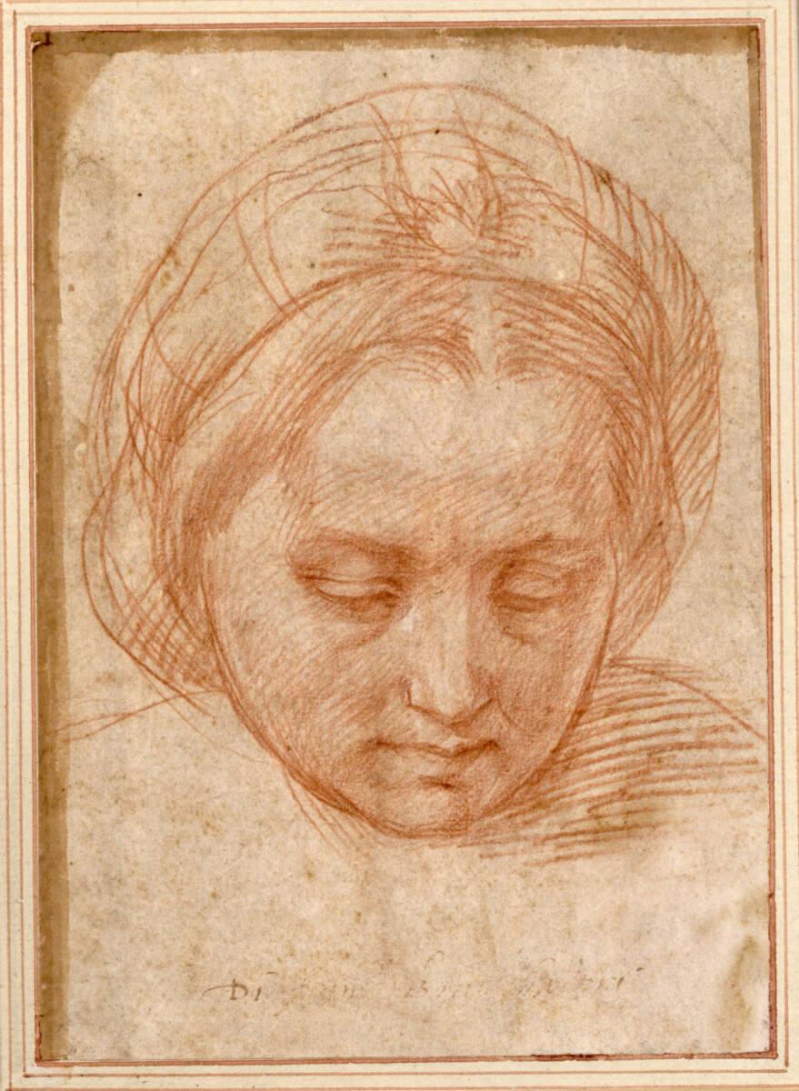 Andrea del Sarto, Studie einer Frau mit Kopftuch, den Blick gesenkt, Inv. Nr.: 4867