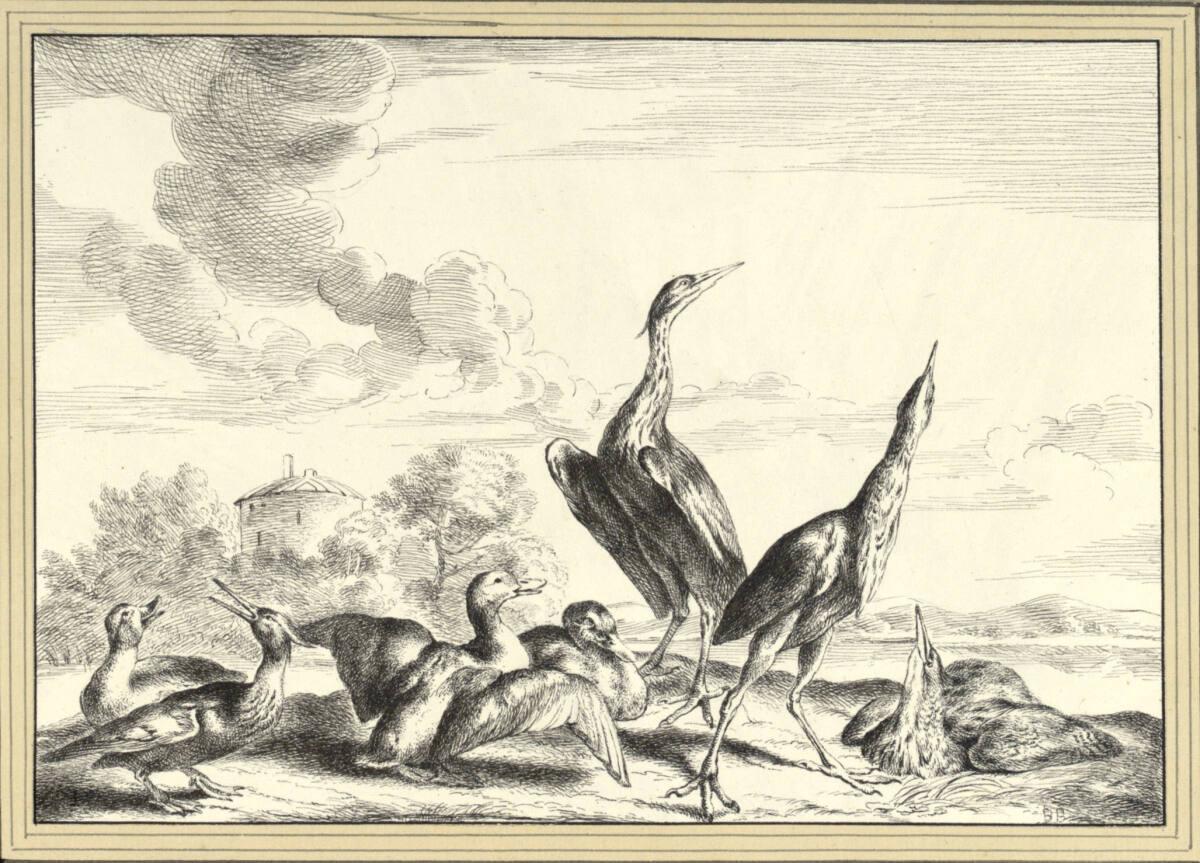 Josef Axmann, Wasservögel, Inv. Nr.: 4976
