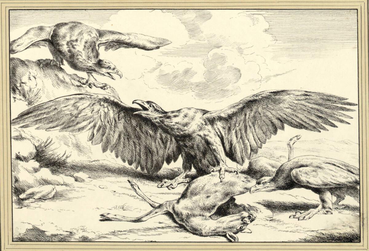 Josef Axmann, Adler im Streit über der Beute eines Rehs, Inv. Nr.: 4977