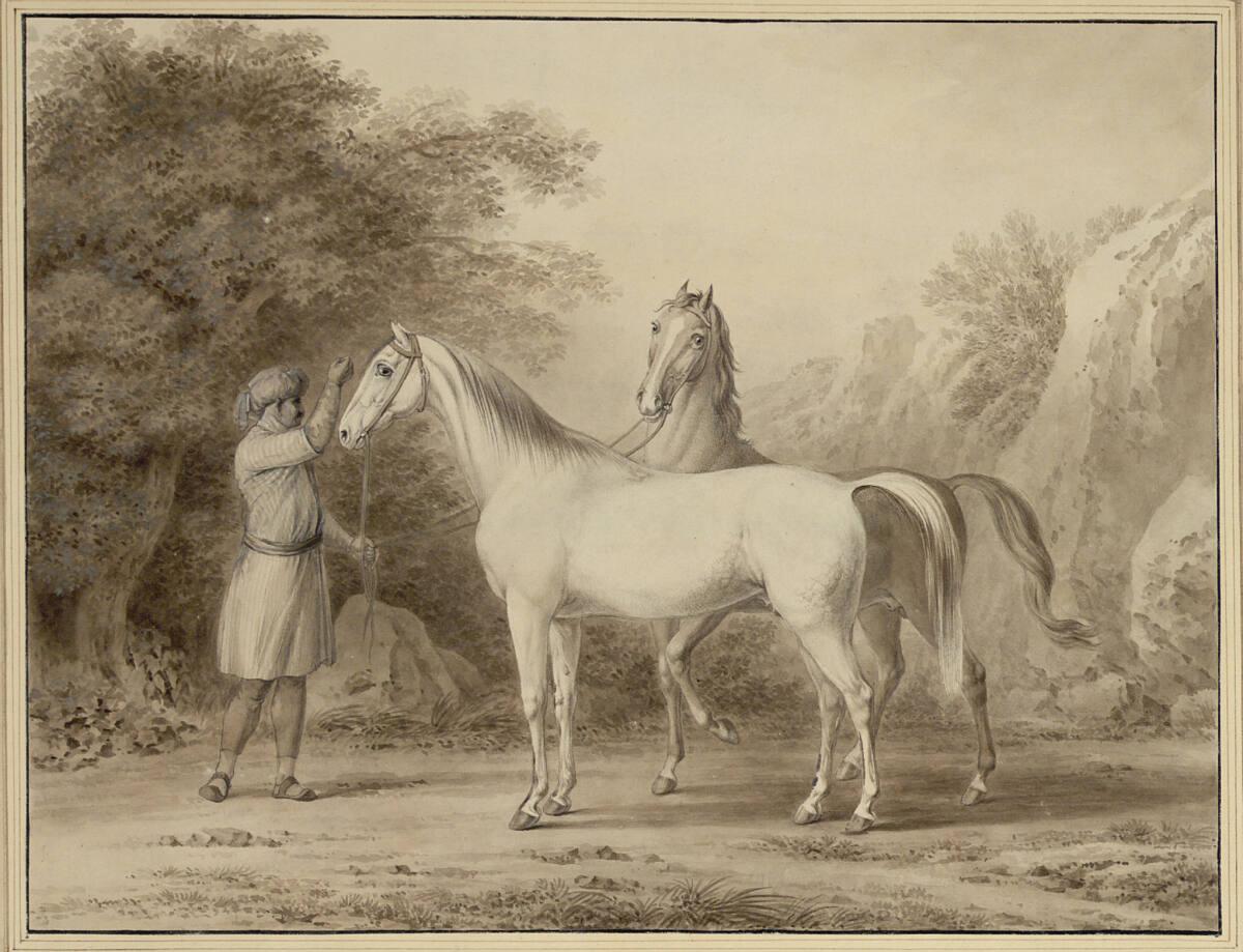 Johann Adam von Bartsch, Deux Chevaux Arabes, Inv. Nr.: 5015