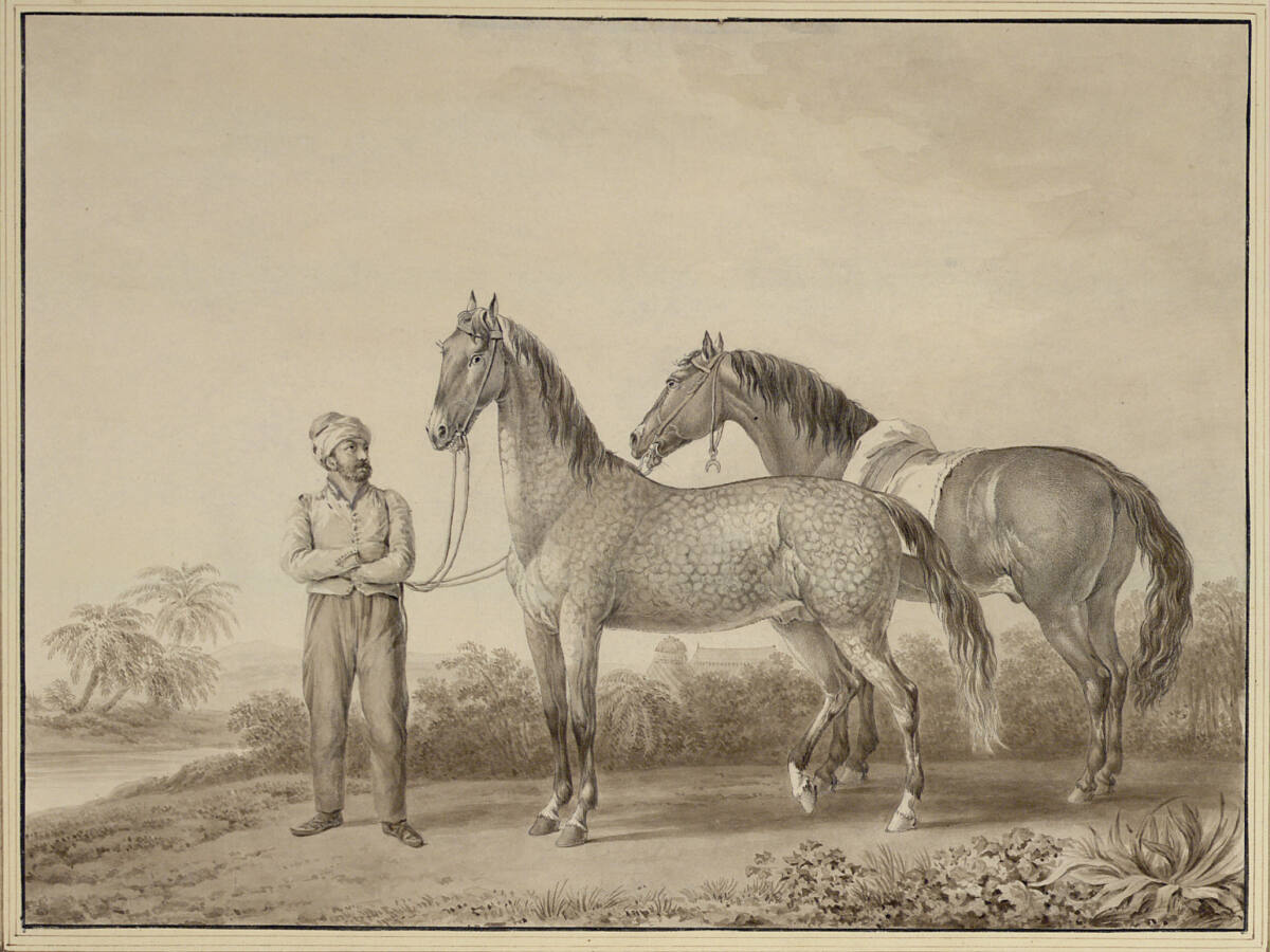 Deux chevaux Turcs, Adam Bartsch