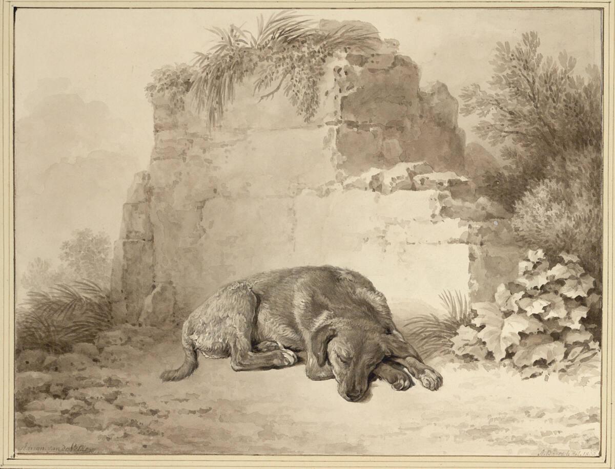 Johann Adam von Bartsch, Martin von Molitor, Liegender Hund, Inv. Nr.: 5019