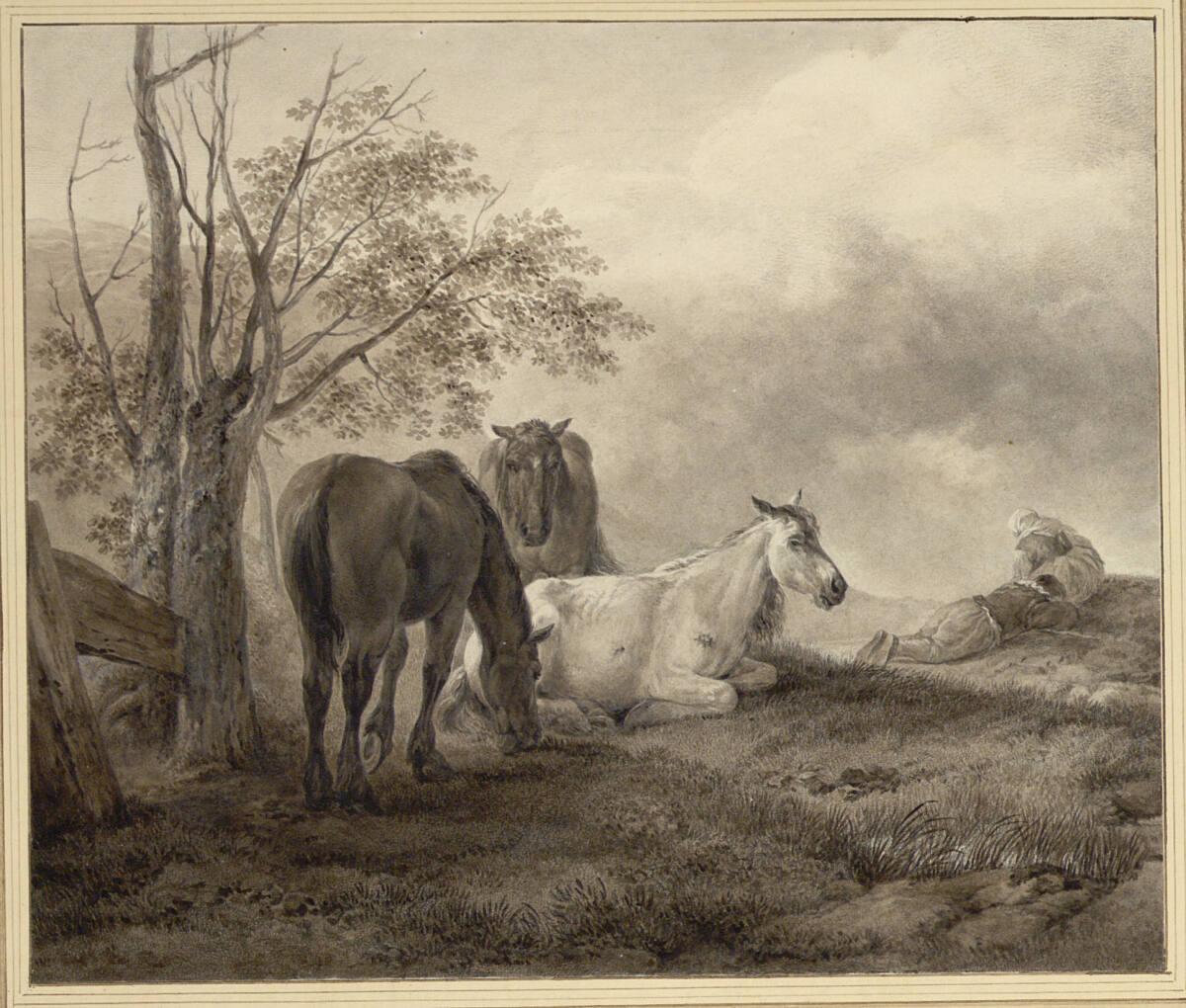 Johann Adam von Bartsch, Martin von Molitor, Drei Pferde im Grünen, Inv. Nr.: 5023