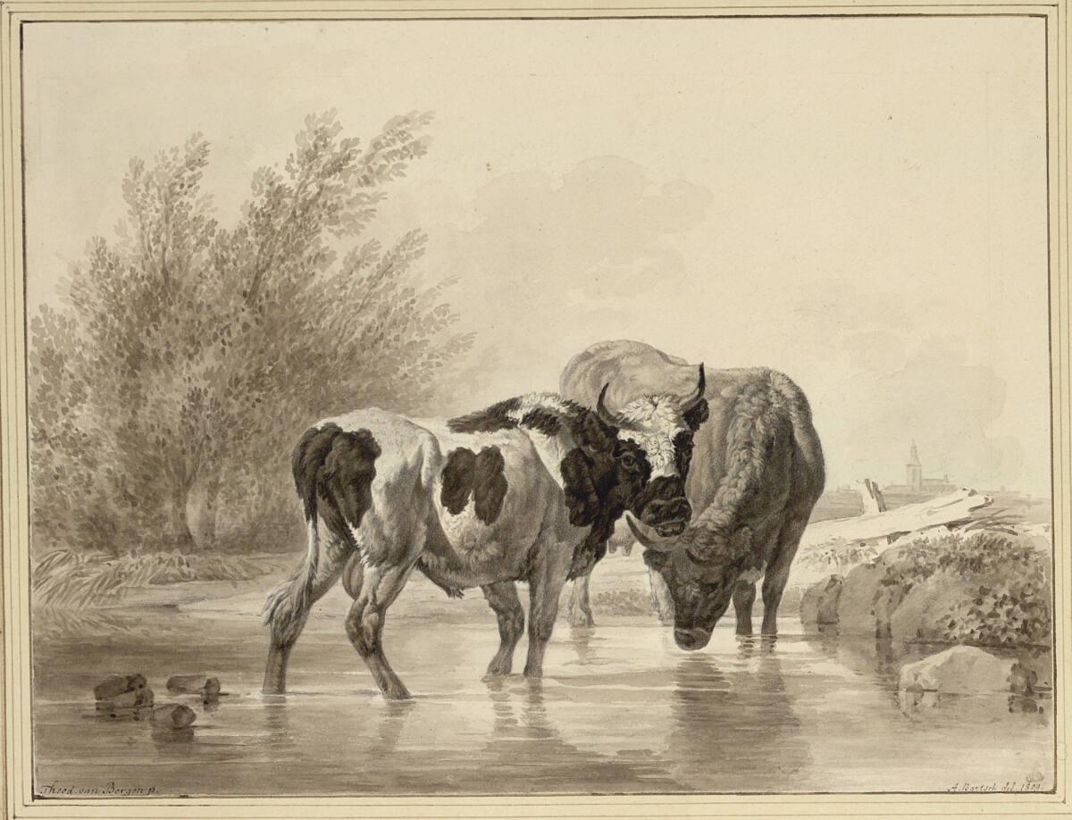 Johann Adam von Bartsch, Martin von Molitor, Un Taureau et une Vache dans l'eau, Inv. Nr.: 5024