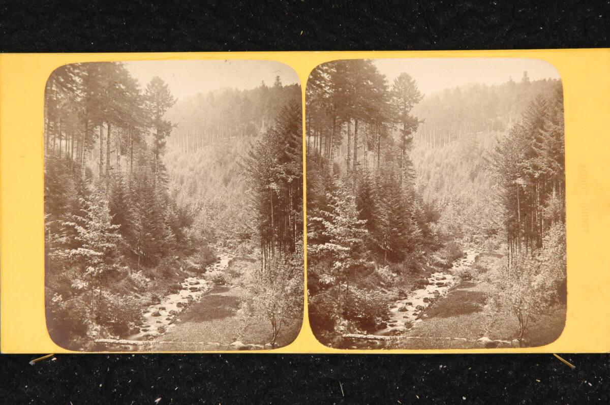 Louis Emmanuel Alexandre Quinet, Im Schwarzwald, Inv. Nr.: FotoGLV2000/24166