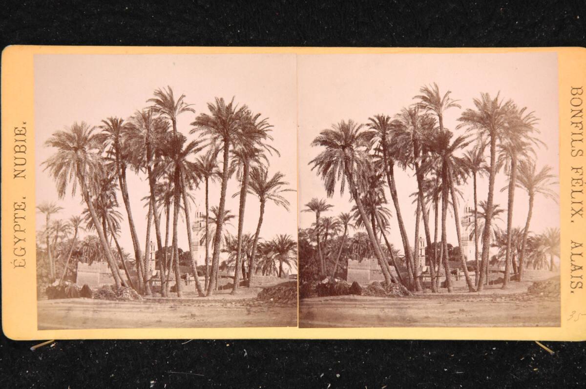 Félix Bonfils, Antinoe, Inv. Nr.: FotoGLV2000/18011