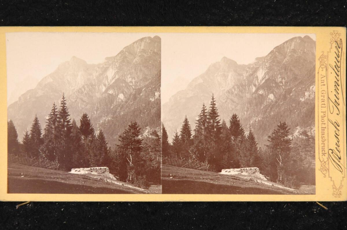Anton Gratl, Pflerscher Tribulaun, Inv. Nr.: FotoGLV2000/21176