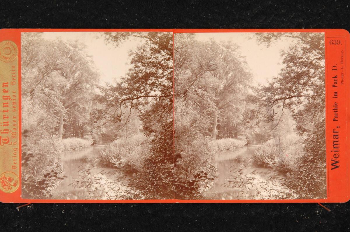 Laurentius Herzog, Thüringen: Weimar, Parthie im Park D., Inv. Nr.: FotoGLV2000/21809
