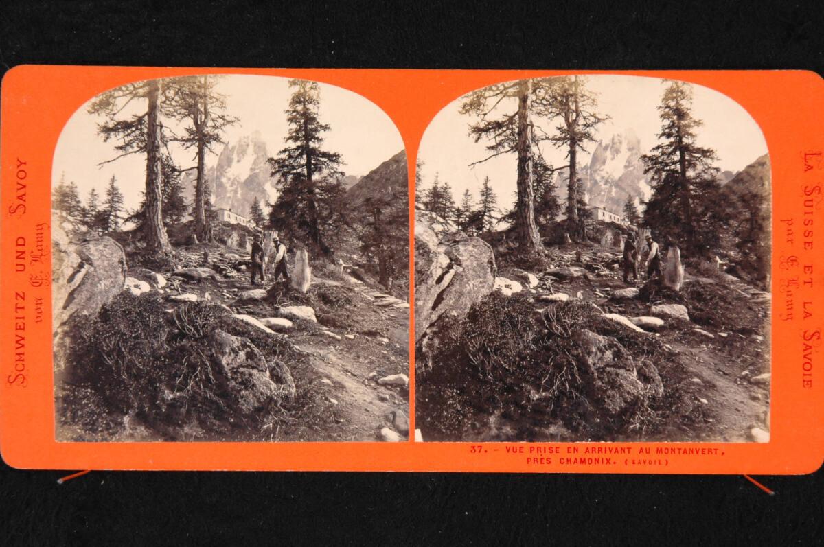 Pierre Eleonor Ernest Lamy, lichtes Waldstück mit Hütte bei Chamonix, Inv. Nr.: FotoGLV2000/178…