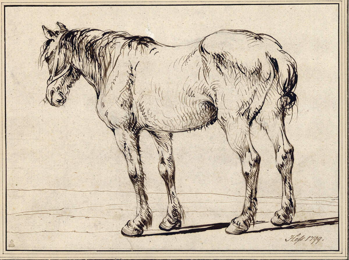 Arbeitspferd, Carl Adolph Heinrich Heß, 1799