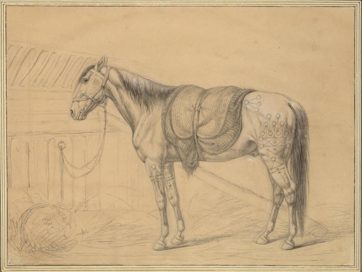 Carl Adolph Heinrich Heß, Das Pferd, das Napoleon aus Konstantinopel als Geschenk übersandt wur…