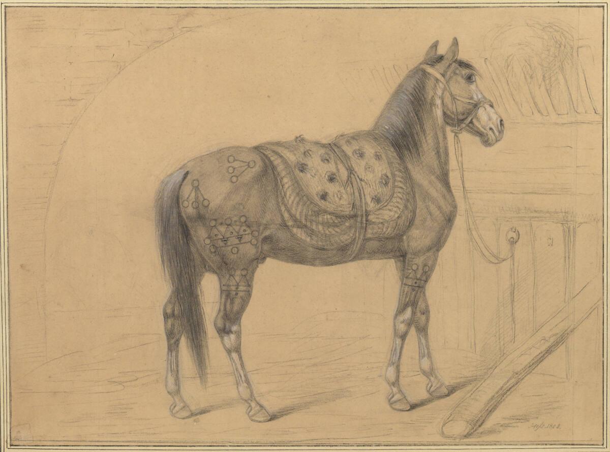 Carl Adolph Heinrich Heß, Das Pferd, das Napoleon aus Konstantinopel als Geschenk übersandt wur…