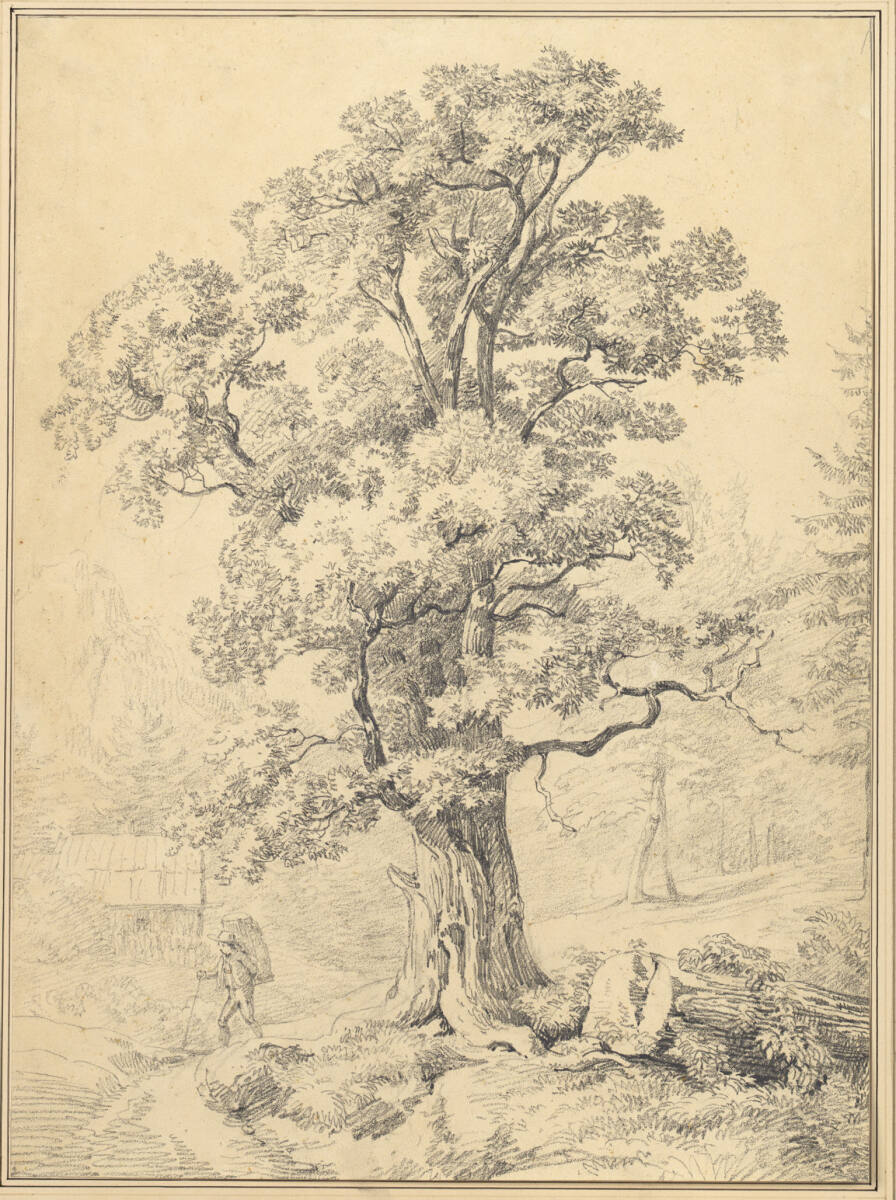 Alter Baum, Joseph Höger