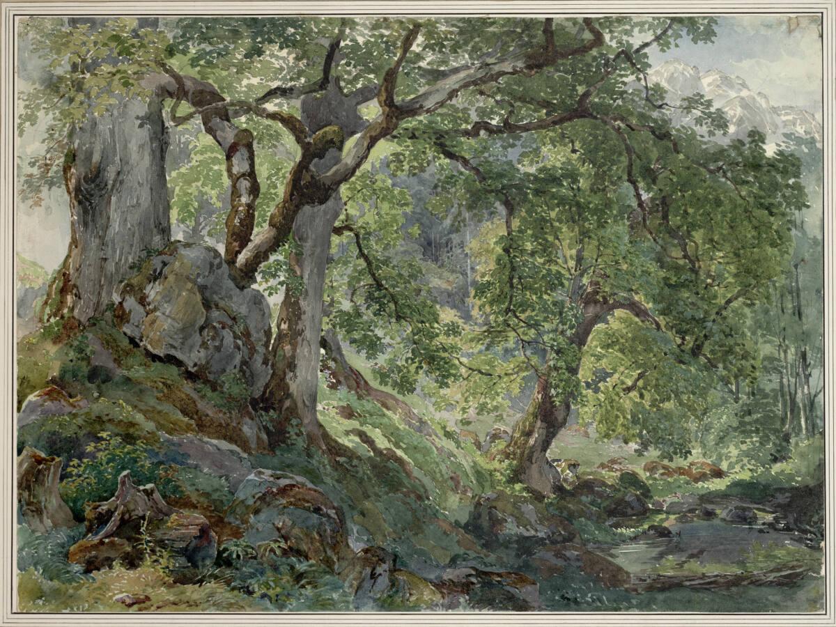 Joseph Höger, Baumlandschaft, Inv. Nr.: 5496