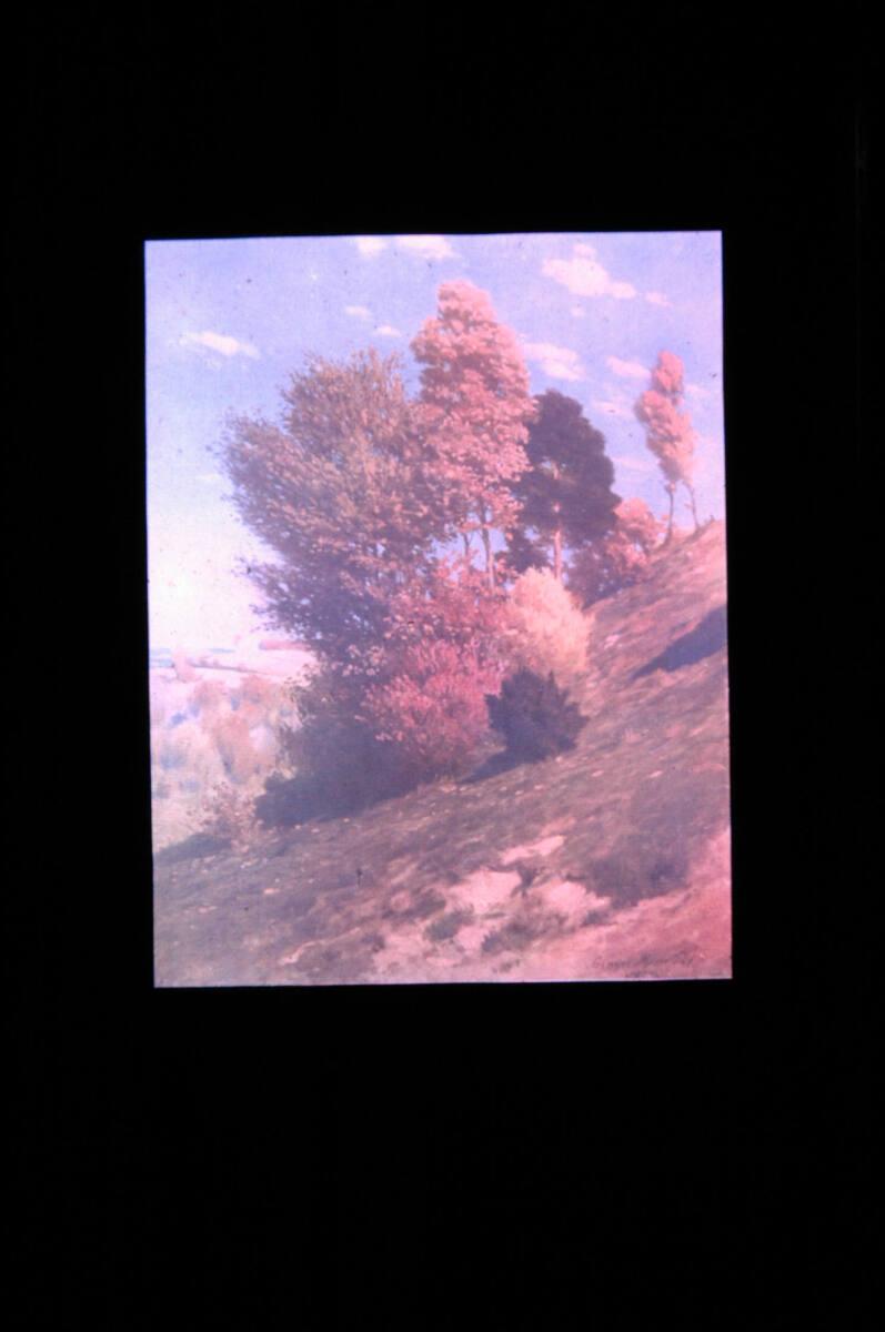Arthur von Hübl, Reproduktionsfotografie eines Bildes des Künstlers Pál Szinyei Merse (dieses d…