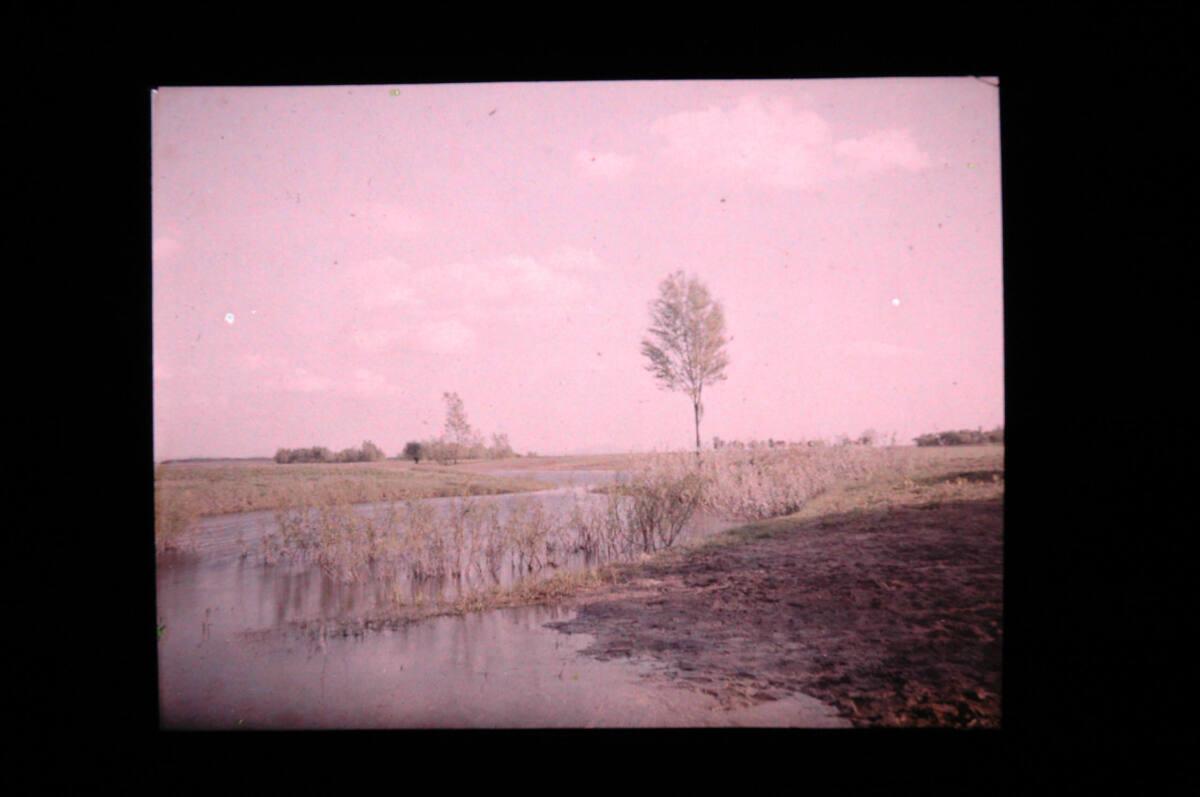 Karl Prokop, Überschwemmtes Land, Inv. Nr.: FotoGLV2000/15118