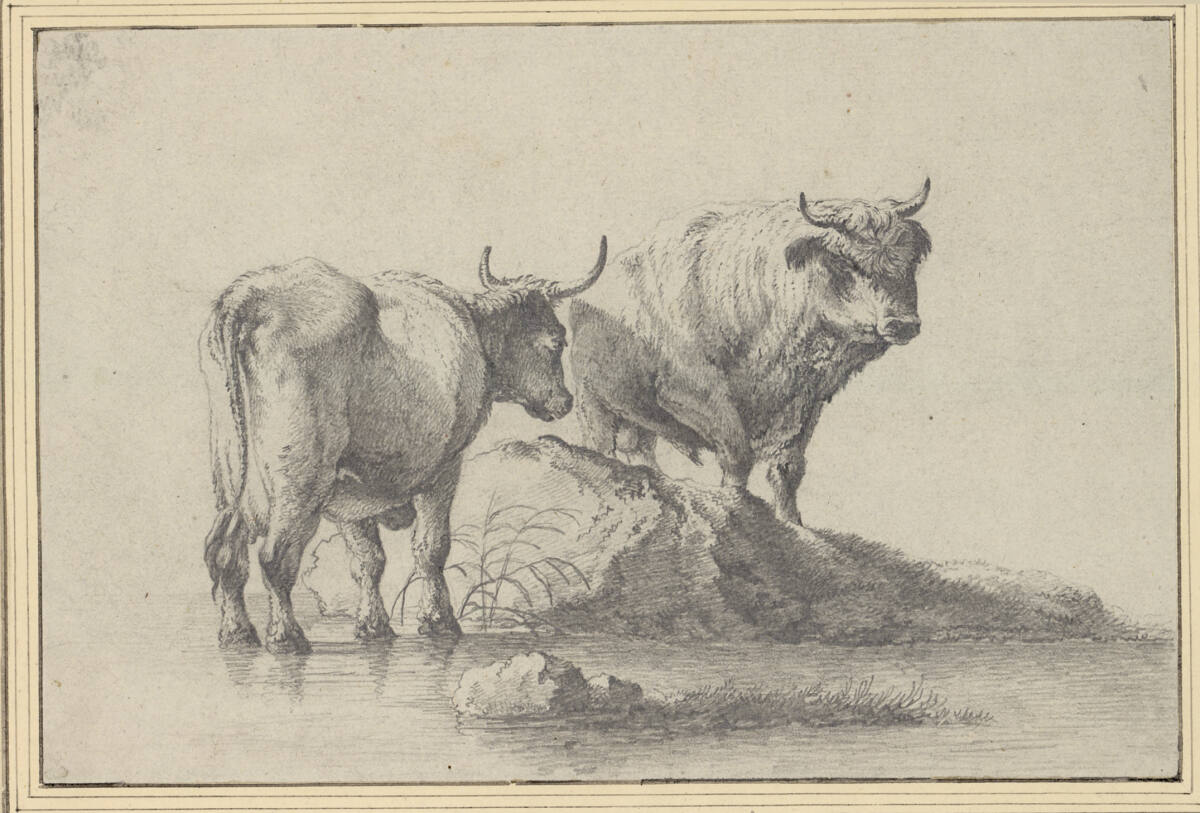Stier und Kuh am Wasser, Joseph August Knip
