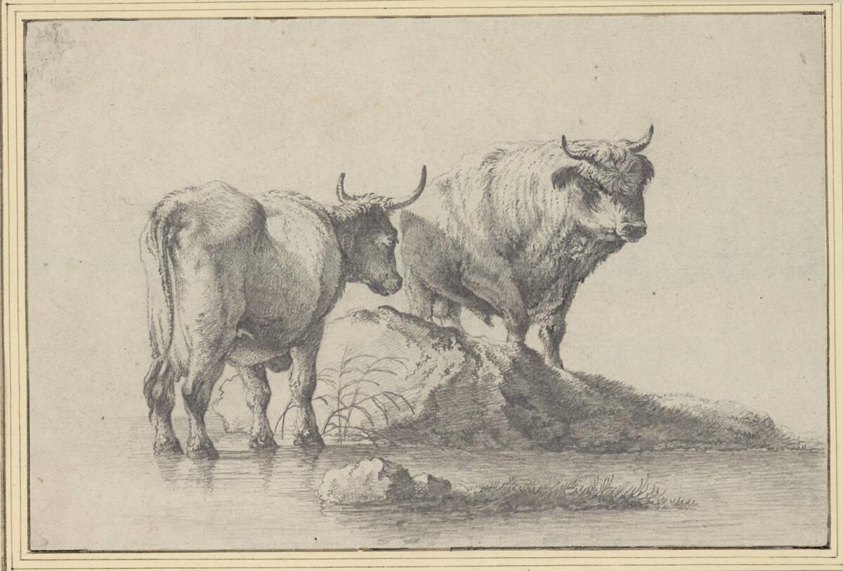 Joseph August Knip, Stier und Kuh am Wasser, Inv. Nr.: 5617