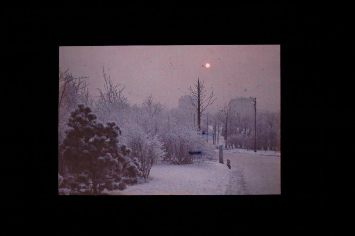 Joseph von Rheden, Verschneite Parklandschaft, eventuell Türkenschanzpark, Inv. Nr.: FotoGLV200…