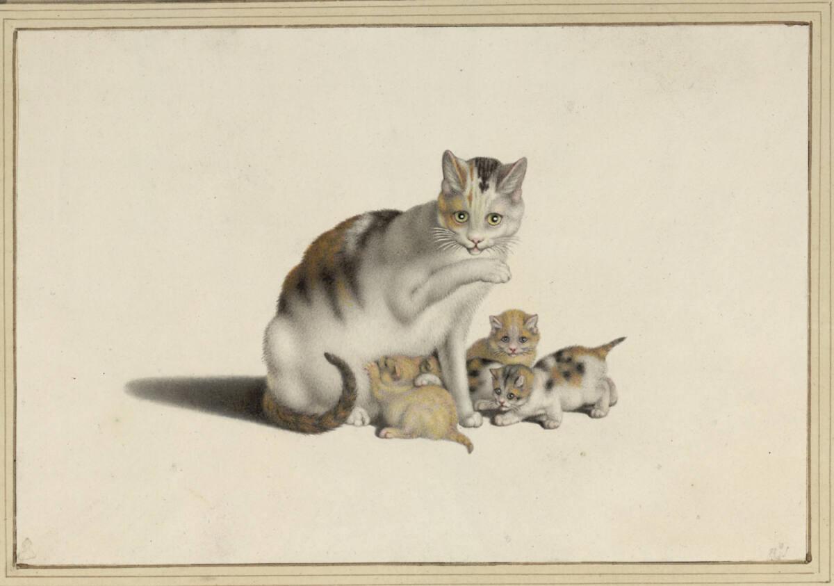 Gottfried Mind, Katze mit ihren Jungen, Inv. Nr.: 5940