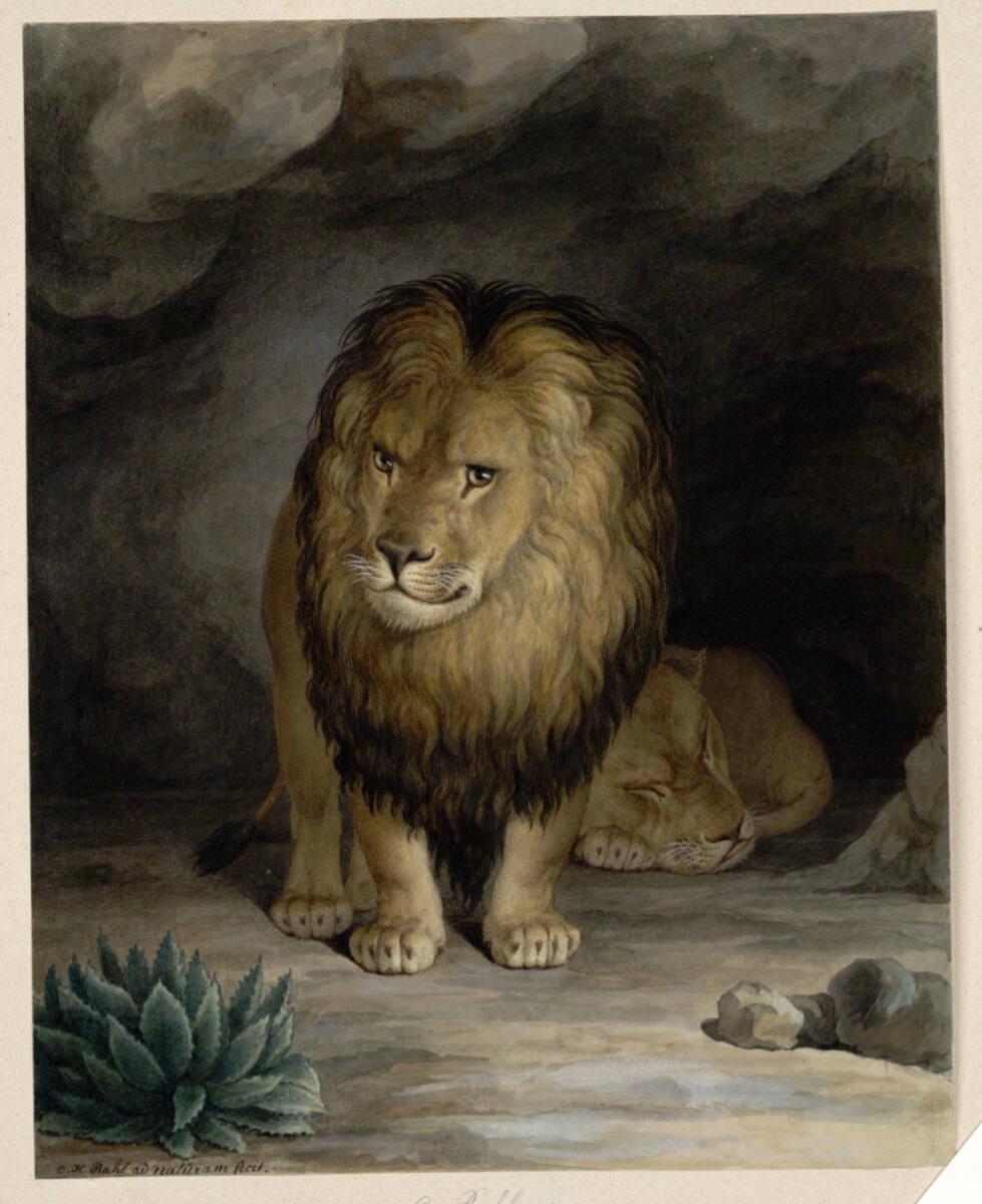 Karl Rahl (der Ältere), Löwenpaar, Inv. Nr.: 6196