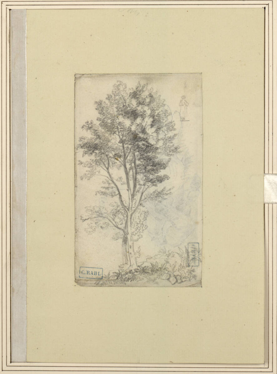 Baumstudie, Carl Rahl, 1841