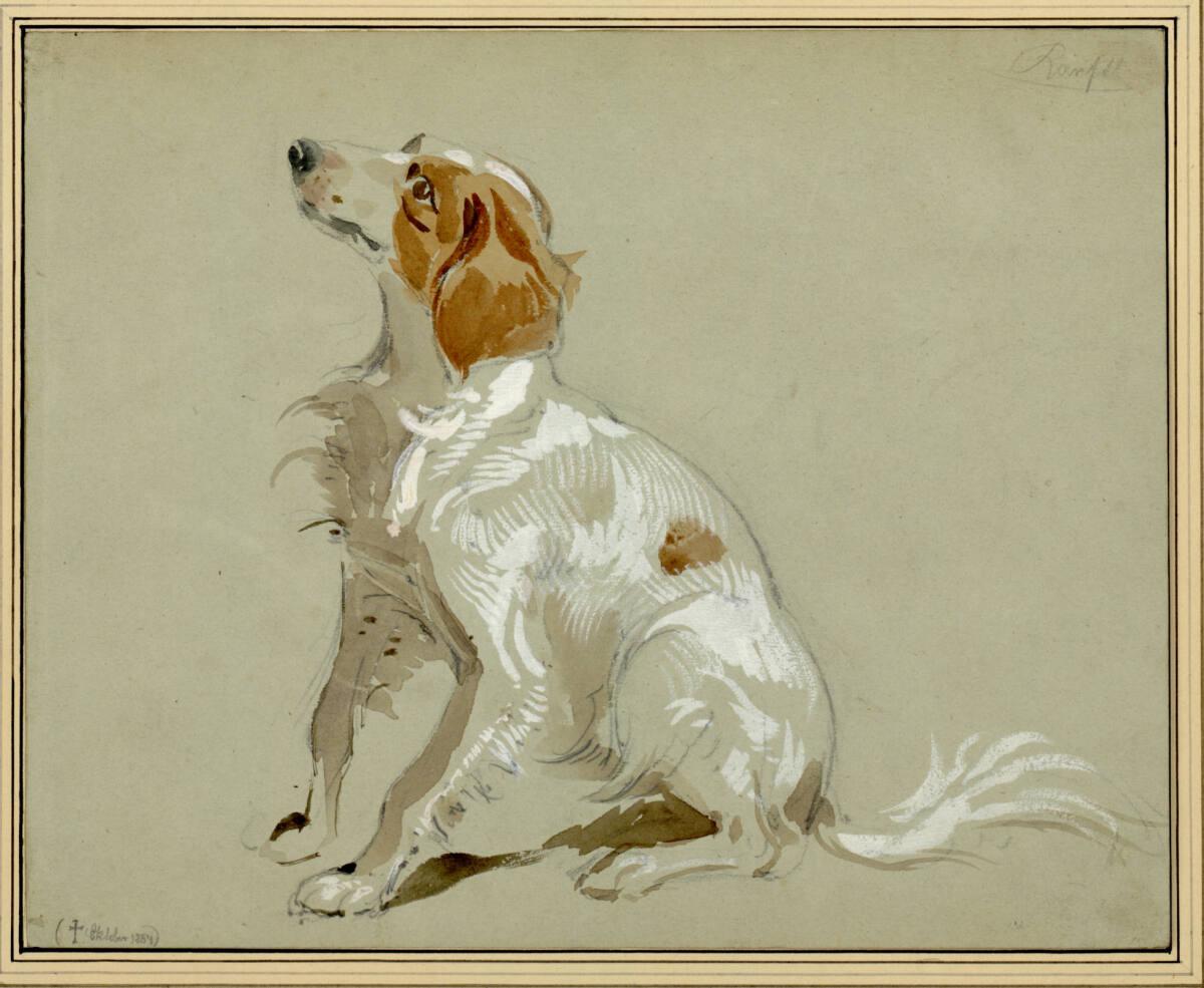 Johann Matthias Ranftl, Ein Hühnerhund, Inv. Nr.: 6222