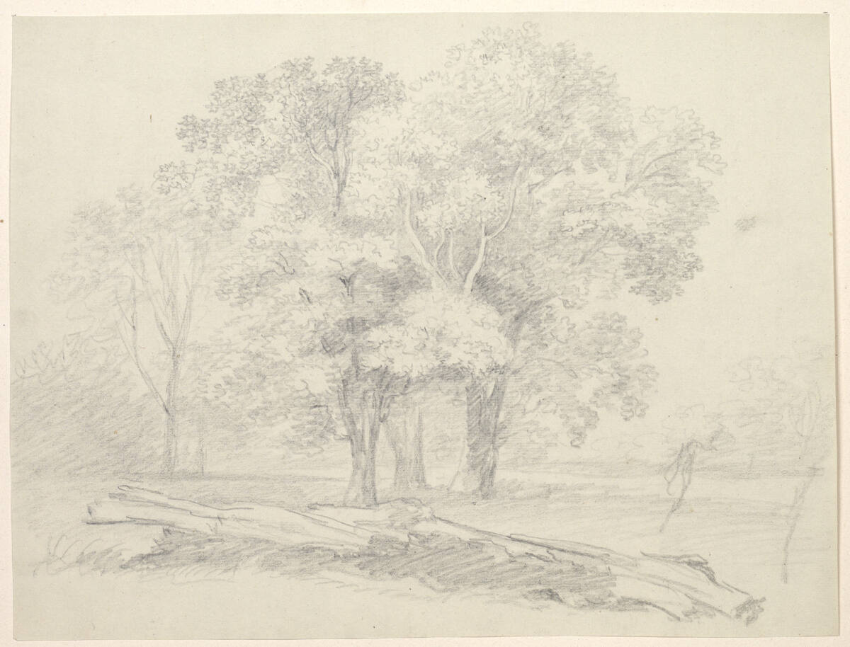 Waldstück mit großer Eiche rechts und einer Baumgruppe, Franz Rechberger