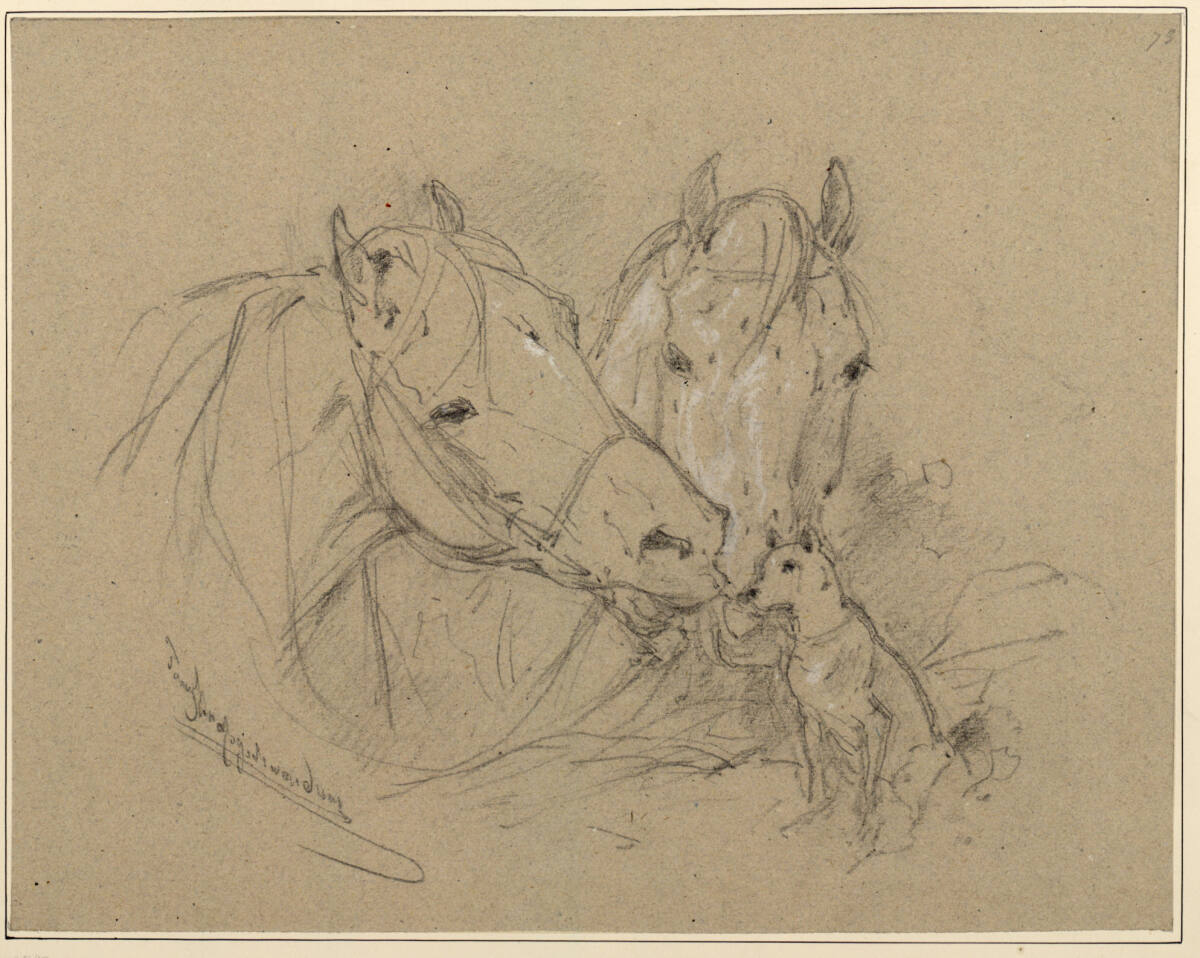 Zwei Pferdeköpfe und Hund, Anton Strassgschwandtner