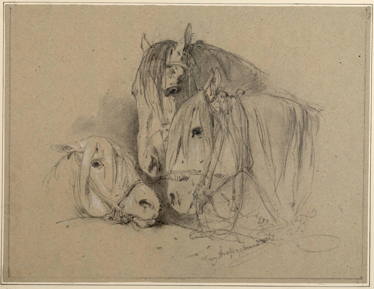 Drei Pferdeköpfe, Anton Strassgschwandtner