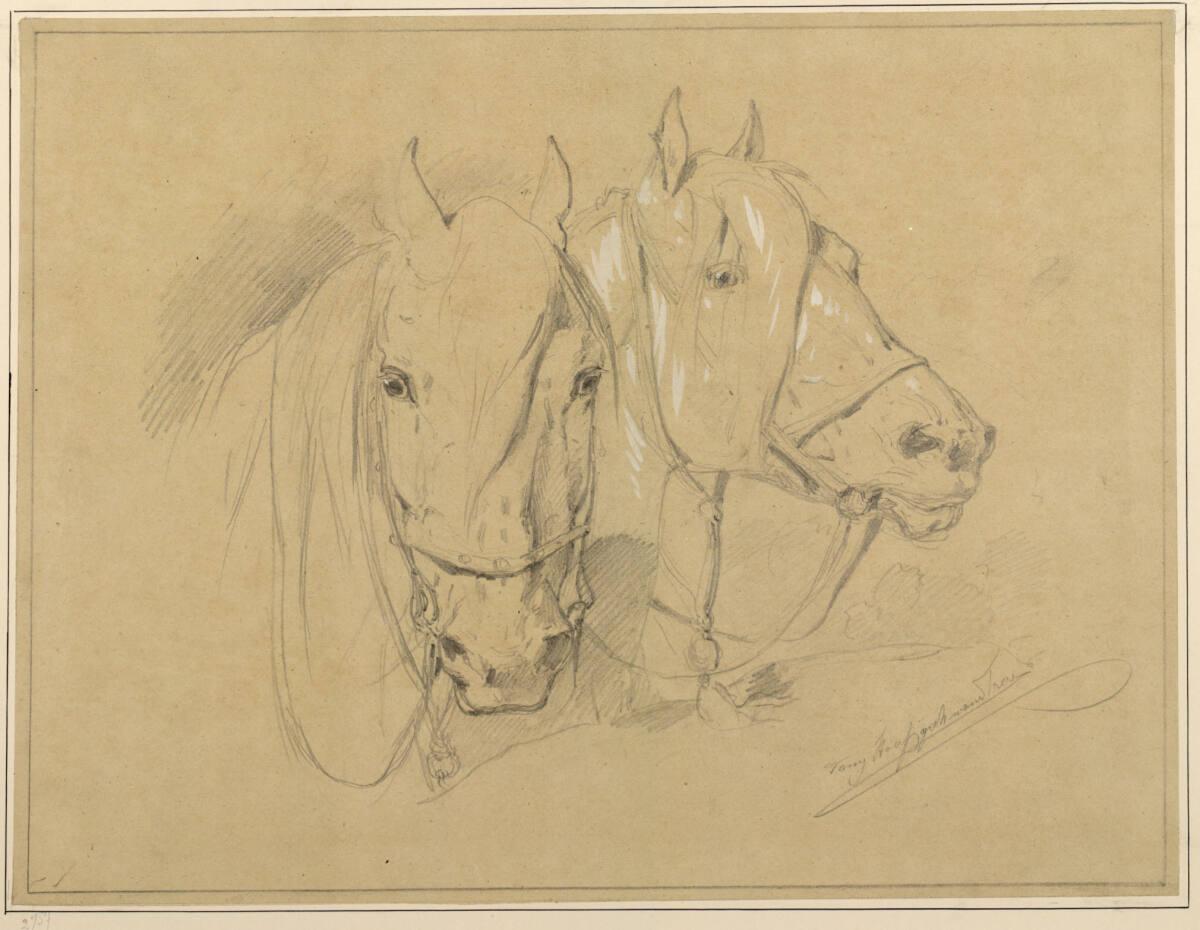 Anton Strassgschwandtner, Zwei Pferdeköpfe nach rechts, Inv. Nr.: 6657