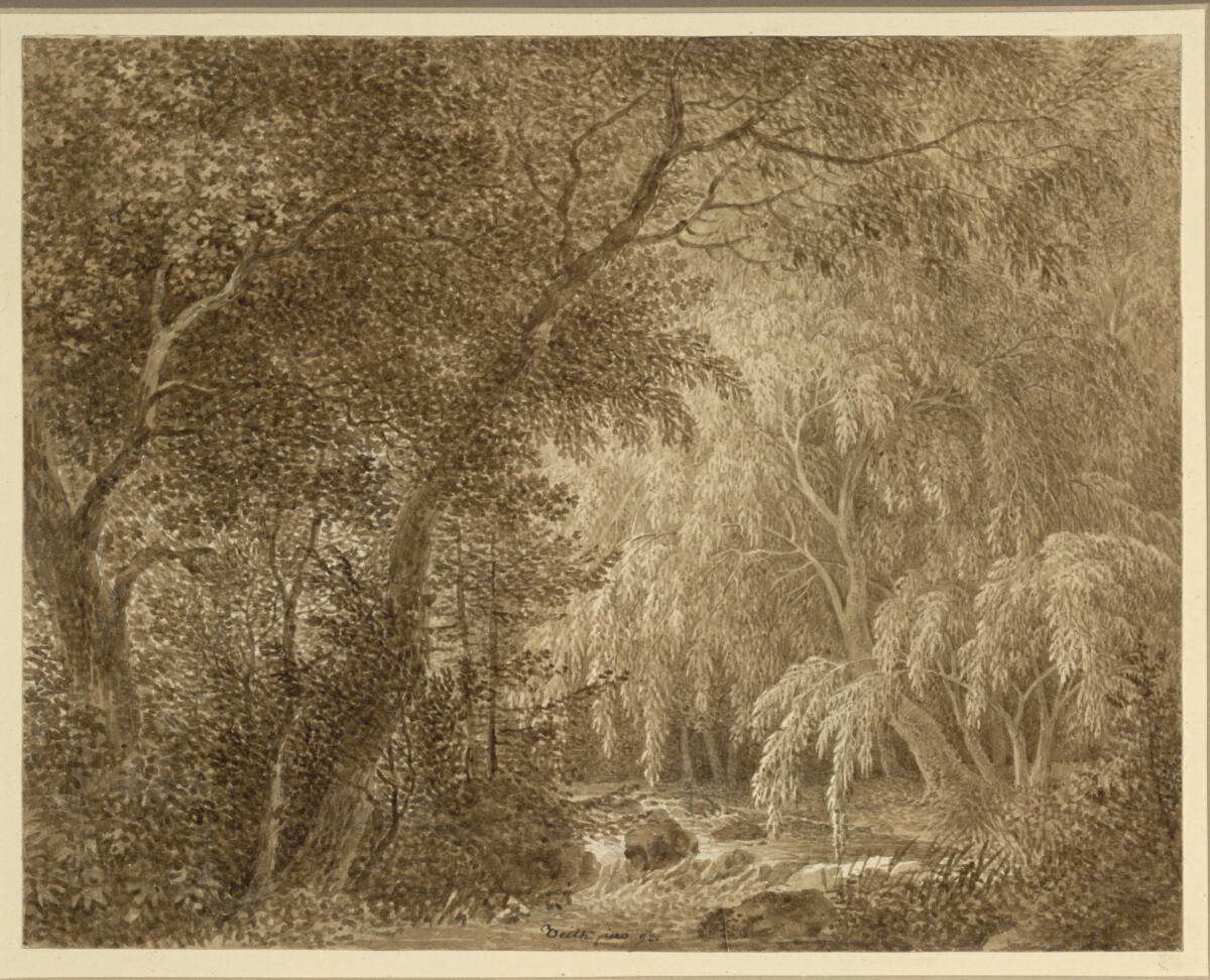 Waldinneres mit Bachlauf und Trauerweiden, Johann Philipp Veith, 1793