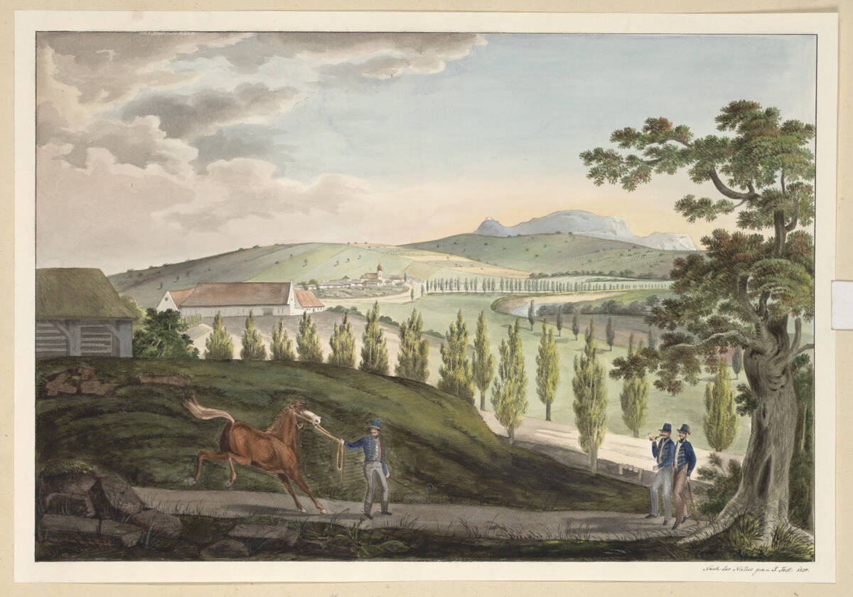Markt Niemtschitz und der Baudecker-Hof, J.Tost, 1834