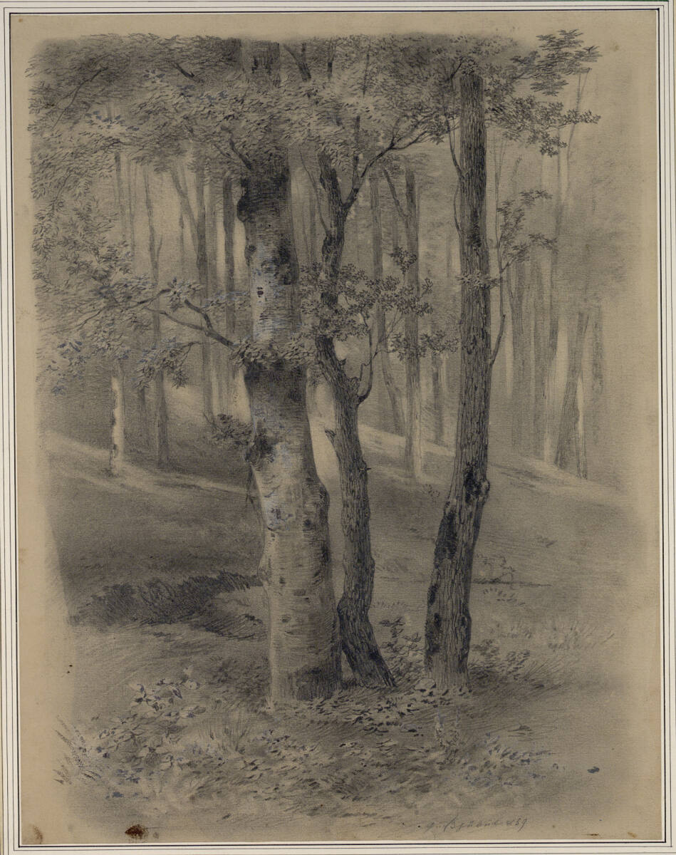 Waldstück, Carl Pischinger, 1859