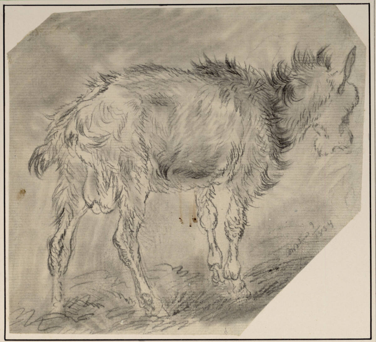 Ziege nach rechts, Carl Pischinger, 1854
