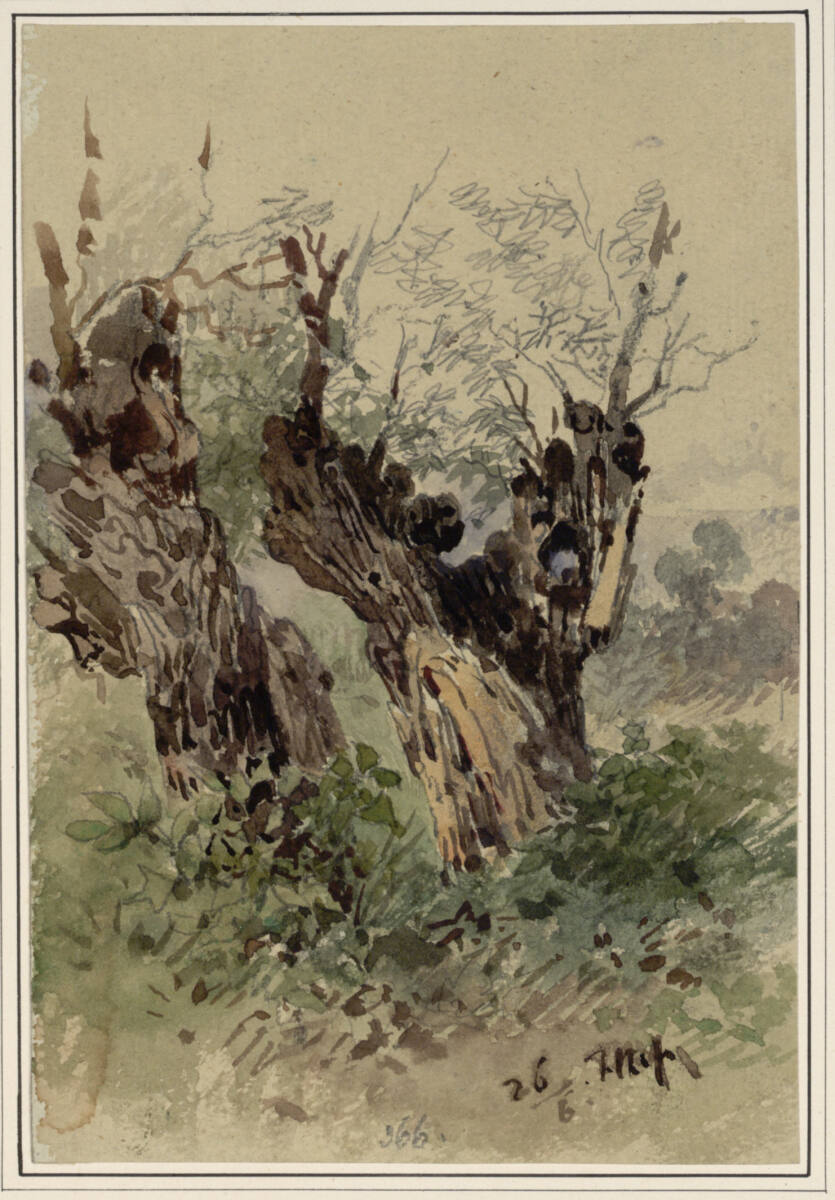Baumstudie, Carl Pischinger